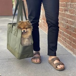 Sage Green Small Dog Animal Carrier Tote Bag by Oskar & Friends